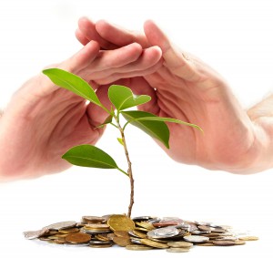INGP; servicios